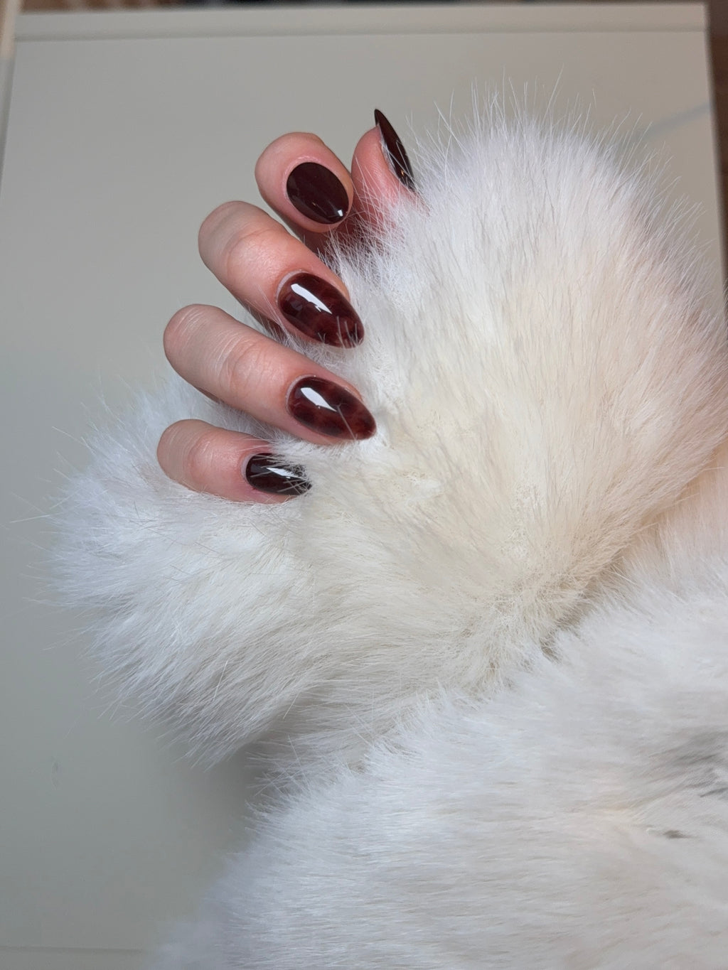 Espresso Shell – Brown Tortoiseshell Press‑On Nails