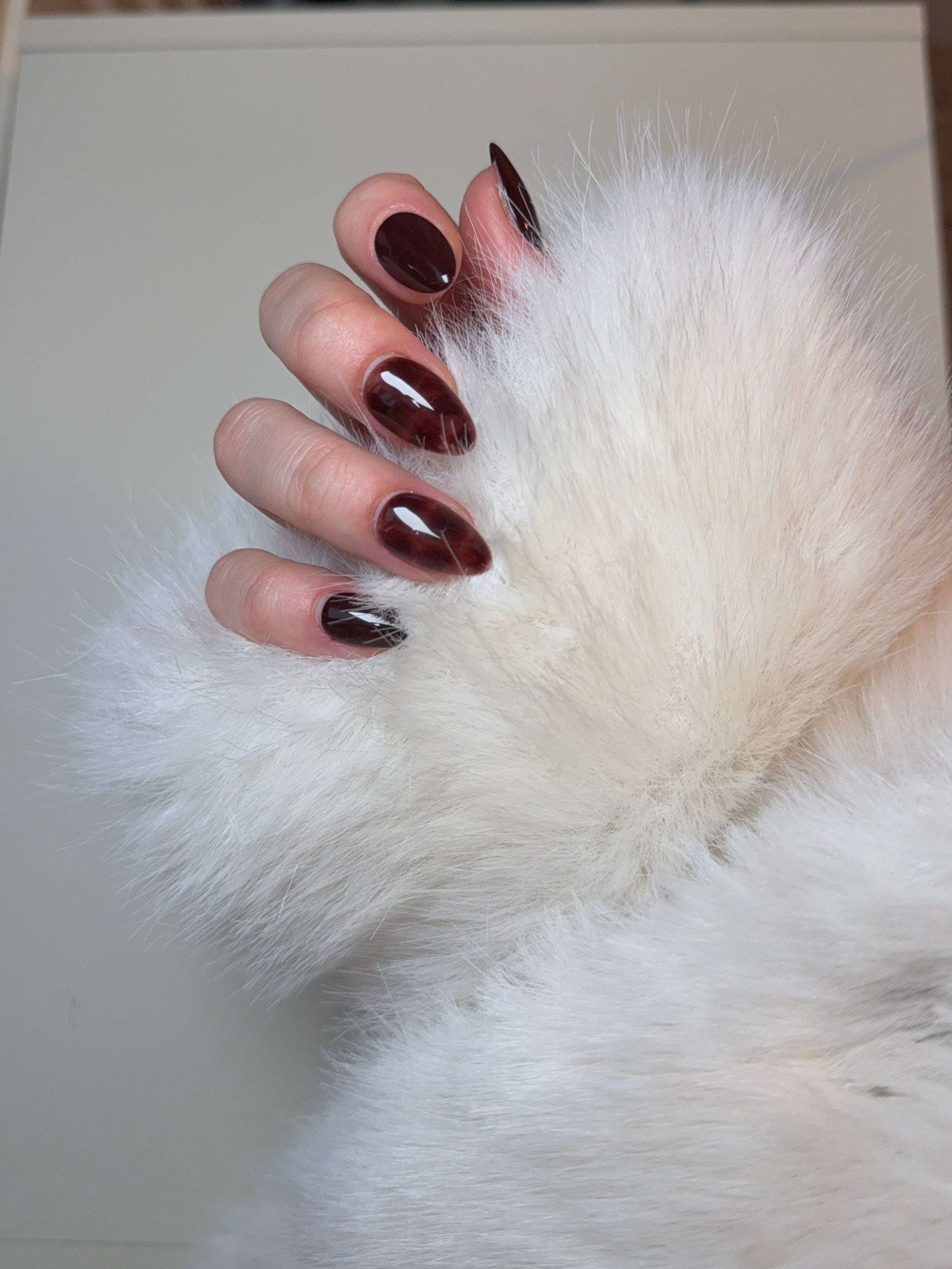 Espresso Shell – Brown Tortoiseshell Press‑On Nails