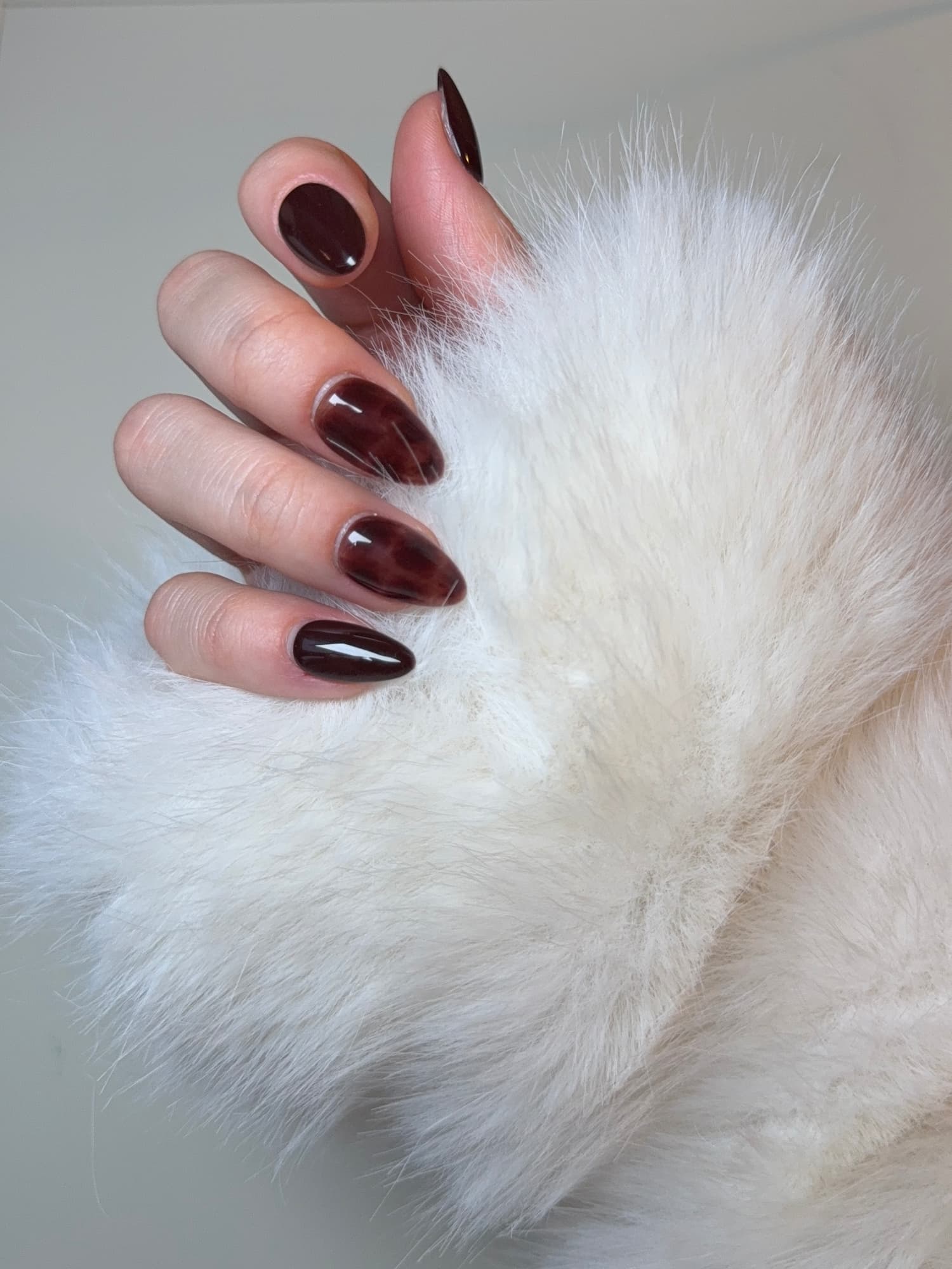 Espresso Shell – Brown Tortoiseshell Press‑On Nails - L’ONGLÉ